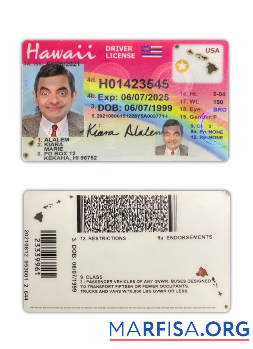 Printable USA Hawaii driving license 2021 present download for verification